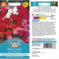 Seminte IMPATIENS walleriana-Busy Lizzie- Safari Mixed F2 -Sporul Casei 