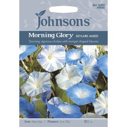 Seminte IPOMOEA tricolor-Morning Glory- Skylark Mixed -Zorele