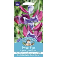 Seminte LATHYRUS odoratus-Sweet Pea- Cupani -Sangele voinicului de floare taiata