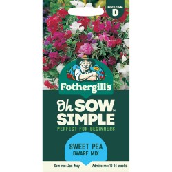 Seminte LATHYRUS odoratus-Sweet Pea- Dwarf Mix -Sangele voinicului