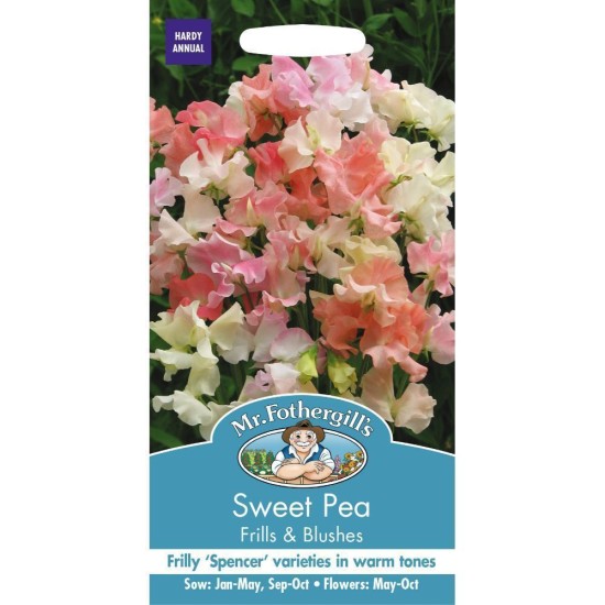 Seminte LATHYRUS odoratus-Sweet Pea- Frills & Blushes -Sangele voinicului de floare taiata Seminte LATHYRUS odoratus-Sweet Pea- Frills & Blushes -Sangele voinicului de floare taiata