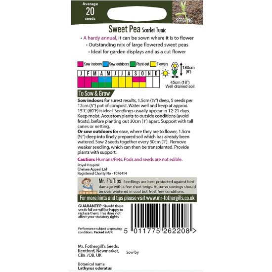 Seminte LATHYRUS odoratus-Sweet Pea- Scarlet Tunic -Sangele voinicului de floare taiata Seminte LATHYRUS odoratus-Sweet Pea- Scarlet Tunic -Sangele voinicului de floare taiata