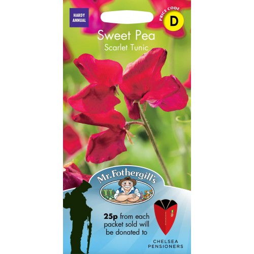 Seminte LATHYRUS odoratus-Sweet Pea- Scarlet Tunic-Sangele voinicului de floare taiata