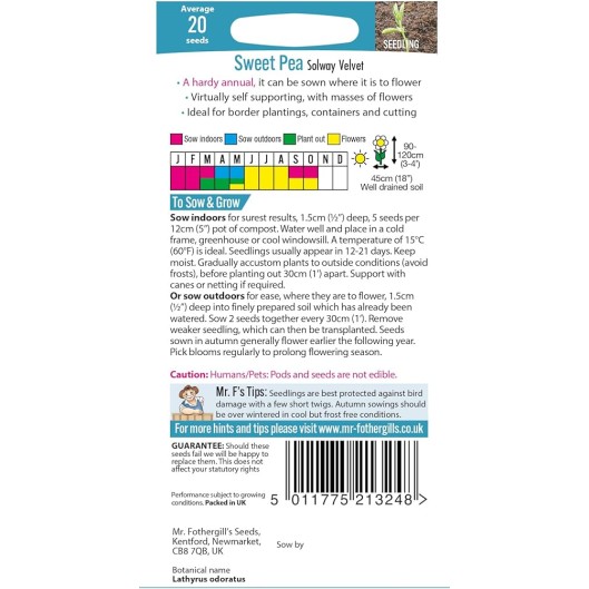 Seminte LATHYRUS odoratus-Sweet Pea- Solway Velvet -Sangele voinicului de floare taiata