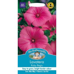 Seminte LAVATERA trimestris- Ruby Regis -Nalba