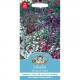 Seminte LOBELIA erinus- String of Pearls -Lobelia pitica Seminte LOBELIA erinus- String of Pearls -Lobelia pitica