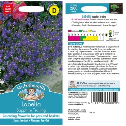 Seminte LOBELIA erinus- Sapphire Trailing -Lobelia curgatoare