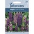 Seminte LUPINUS polyphyllus-Lupin- Gallery Blue Shades -Cafeluta