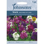 Seminte MATTHIOLA incana-Stock- (Selectable) Hot Cakes -Mixandre cu flori batute