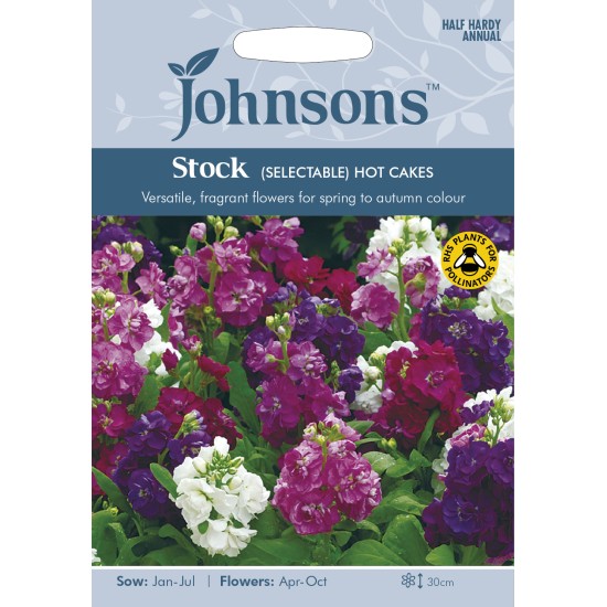 Seminte MATTHIOLA incana-Stock- (Selectable) Hot Cakes -Mixandre cu flori batute