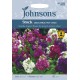 Seminte MATTHIOLA incana-Stock- (Selectable) Hot Cakes -Mixandre cu flori batute