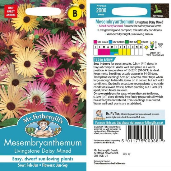 Seminte MESEMBRYANTHEMUM-Dorotheanthus bellidiformis- Livingstone Daisy Mixed -Floare de cristal