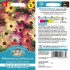 Seminte MESEMBRYANTHEMUM-Dorotheanthus bellidiformis- Livingstone Daisy Mixed -Floare de cristal