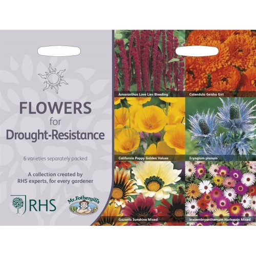 Seminte MIXED ANNUAL Collection - Flowers for Drought-Resistance-6 varietati rezistente la seceta