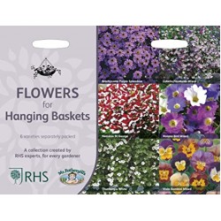 Seminte MIXED ANNUAL Collection - Flowers for Hanging Baskets-6 varietati curgatoare