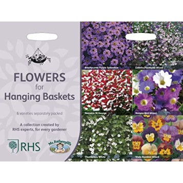Seminte MIXED annual COLLECTION- Flowers for Hanging Baskets -6 varietati curgatoare