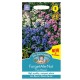 Seminte MYOSOTIS alpestris-Forget-Me-Not- Eva Mixed -Nu-Ma-Uita Seminte MYOSOTIS alpestris-Forget-Me-Not- Eva Mixed -Nu-Ma-Uita