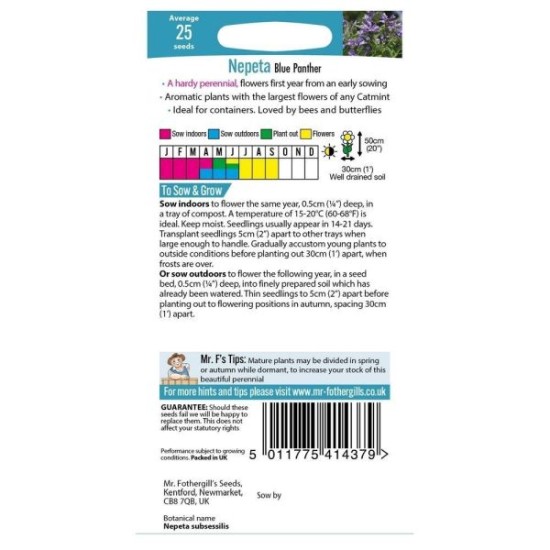 Seminte NEPETA subsessilis- Blue Panther -Catnip, Menta pisicii