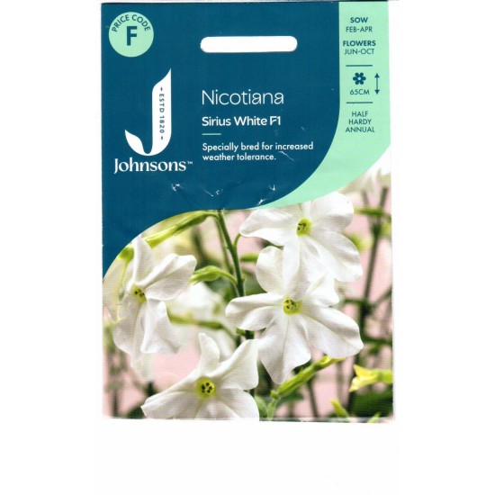 Seminte NICOTIANA sanderae- Sirius White F1 -Regina noptii