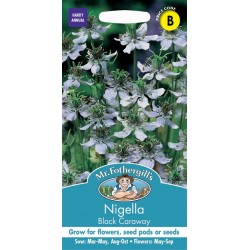 Seminte NIGELLA sativa- Black Caraway -Negrilica, Barba Imparatului