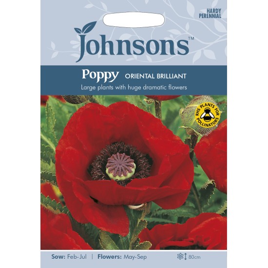 Seminte PAPAVER orientale-Poppy- Oriental Brilliant -Mac peren