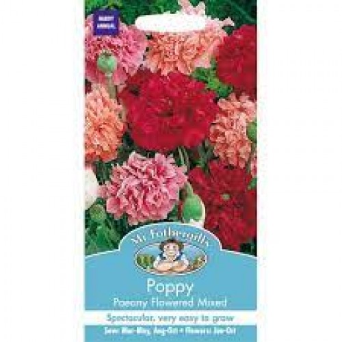 Seminte PAPAVER somniferum-Poppy- Paeony Flowered Mixed - Mac 