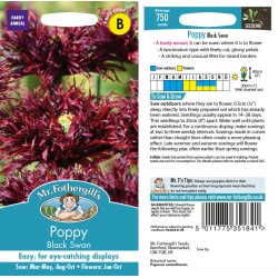 Seminte PAPAVER somniferum-Poppy- Black Swan -Mac Seminte PAPAVER somniferum-Poppy- Black Swan -Mac