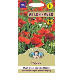 Seminte PAPAVER rhoeas-Poppy- Wildflower -Mac rosu de camp