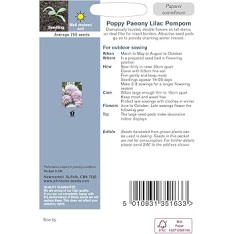 Seminte PAPAVER somniferum-Poppy- Paeony Lilac Pompon -Mac roz