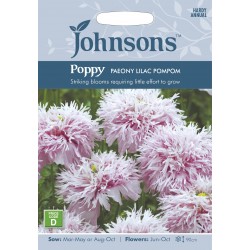 Seminte PAPAVER somniferum-Poppy- Paeony Lilac Pompom -Mac roz
