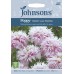 Seminte PAPAVER somniferum-Poppy- Paeony Lilac Pompom -Mac roz