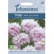Seminte PAPAVER somniferum-Poppy- Paeony Lilac Pompon -Mac roz