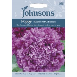 Seminte PAPAVER somniferum-Poppy- Paeony Purple Passion-Mac annual