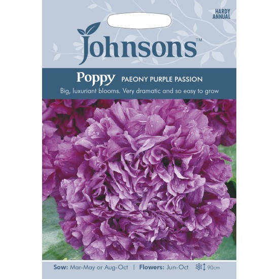 Seminte PAPAVER somniferum-Poppy- Paeony Purple Passion -Mac annual Seminte PAPAVER somniferum-Poppy- Paeony Purple Passion -Mac annual