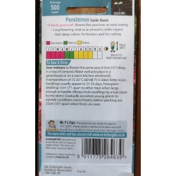 Seminte PENSTEMON hartwegii- Scarlet Queen -Degetar Seminte PENSTEMON hartwegii- Scarlet Queen -Degetar