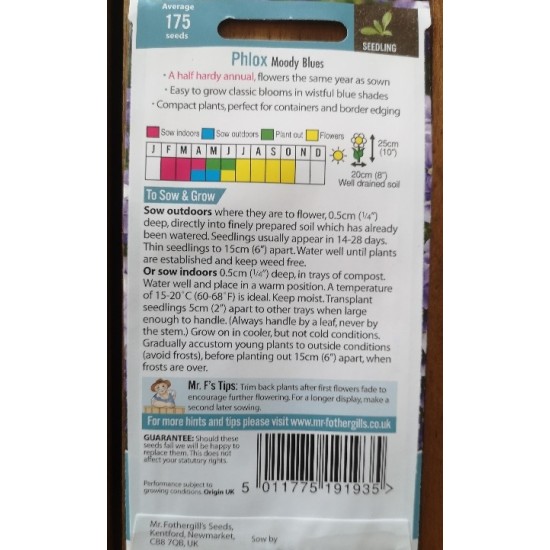 Seminte PHLOX drummondii- Moody Blues -Brumarele pitice