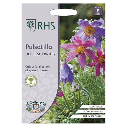 Seminte PULSATILLA vulgaris - Heiler Hybrids - Deditel