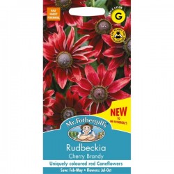 Seminte RUDBECKIA hirta- Cherry Brandy -Ruji