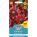 Seminte RUDBECKIA hirta- Cherry Brandy -Ruji