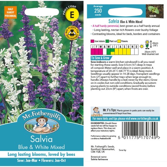 Seminte SALVIA farinacea- Blue&White Mixed -Salvia decorativa