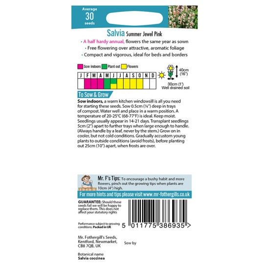 Seminte SALVIA coccinea- Summer Jewel Pink -Salvia aromatica