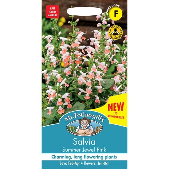 Seminte SALVIA coccinea- Summer Jewel Pink -Salvia aromatica