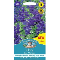Seminte SALVIA viridis- Clary- Blue Monday -Salvie decorativa Seminte SALVIA viridis- Clary- Blue Monday -Salvie decorativa