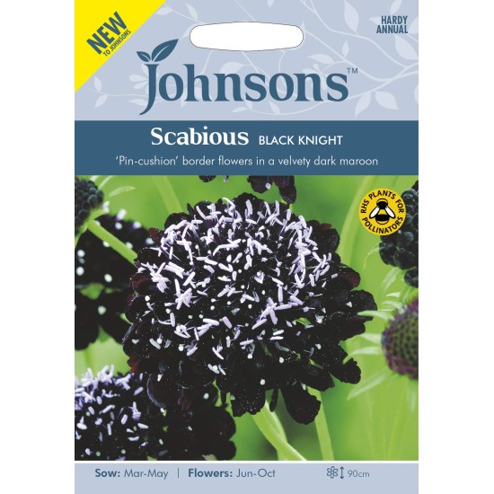 Seminte SCABIOSA atropurpurea-Scabious- Black Knight -Sipica