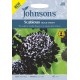 Seminte SCABIOSA atropurpurea-Scabious- Black Knight -Sipica