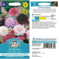 Seminte SCABIOSA atropurpurea-Scabious- Tall Double Mixed -Sipica