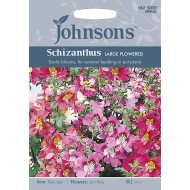 Seminte SCHIZANTHUS wisetonensis- Large Flowered Mixed -Orhideea saracului