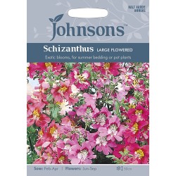 Seminte SCHIZANTHUS wisetonensis- Large Flowered Mixed -Orhideea saracului