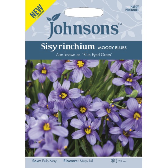 Seminte SISYRINCHIUM idahoense- Moody Blues -Iarba cu ochi albastru