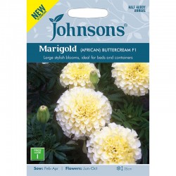 Seminte TAGETES erecta-Marigold African- Buttercream F1 - Craite albe